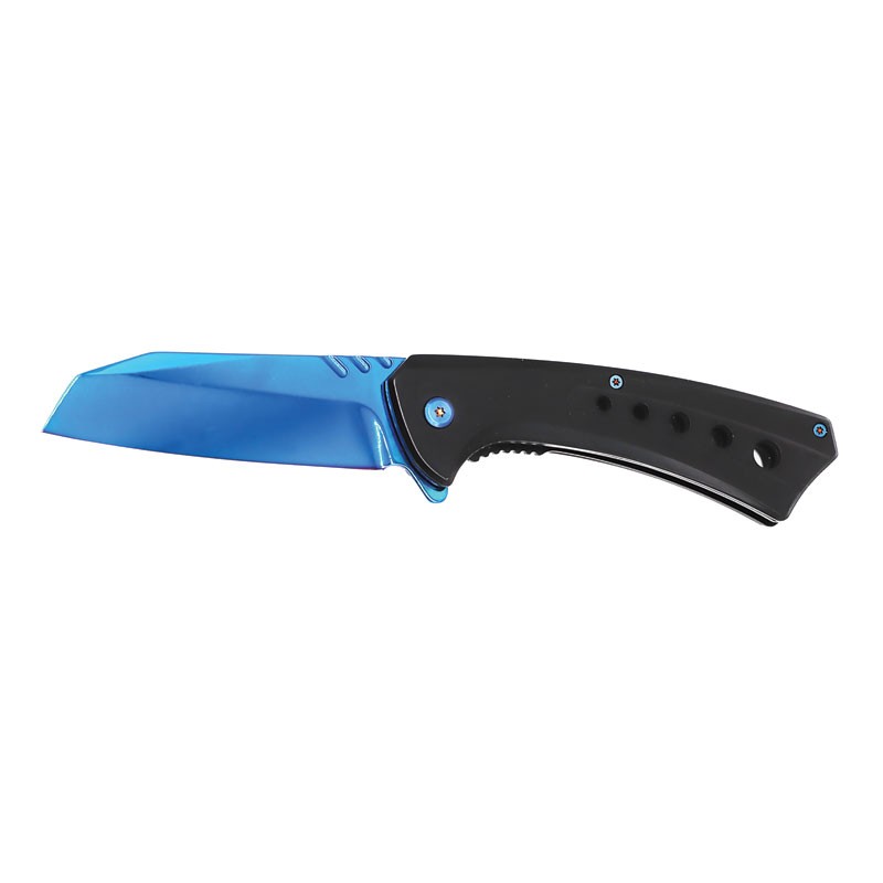 Lustrous Blade Spring-Assisted Knife - Blue