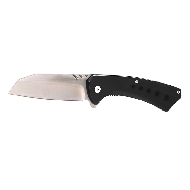 Lustrous Blade Spring-Assisted Knife - Chrome