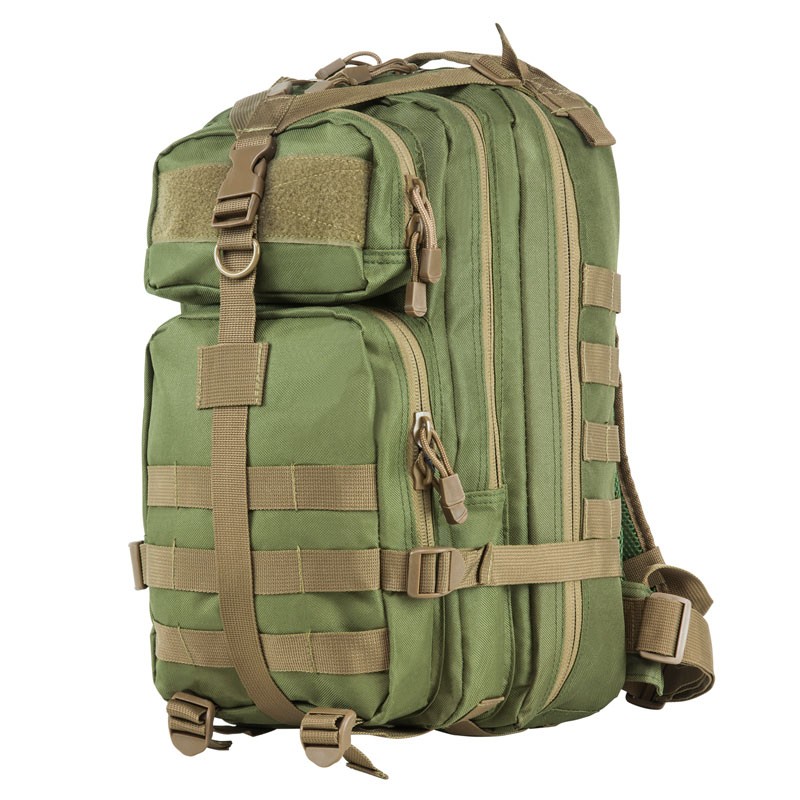 Small Backpack - Green with Tan Trim