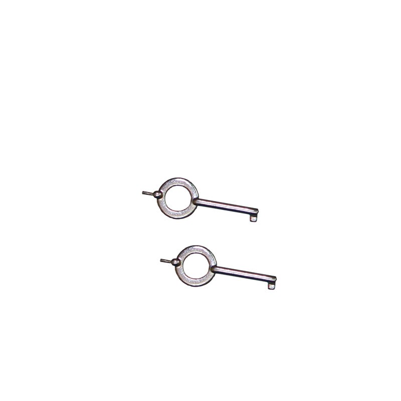 Set of 2 Handcuff Keys